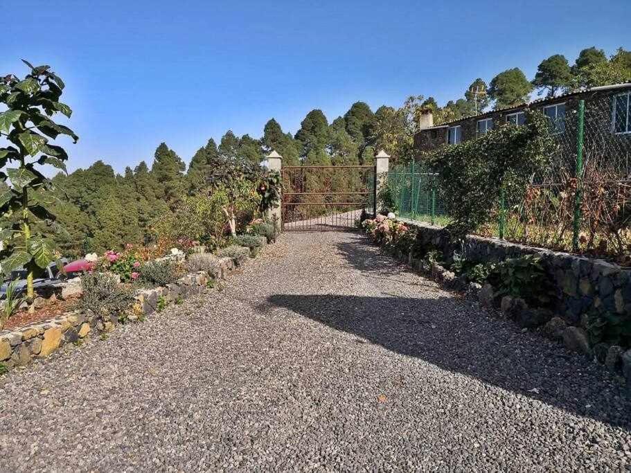 Finca Los Tamarillos ซานตาครูซ เด เตเนริเฟ ภายนอก รูปภาพ